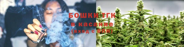 mdpv Белокуриха