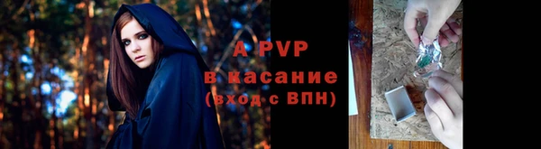 mdpv Белокуриха