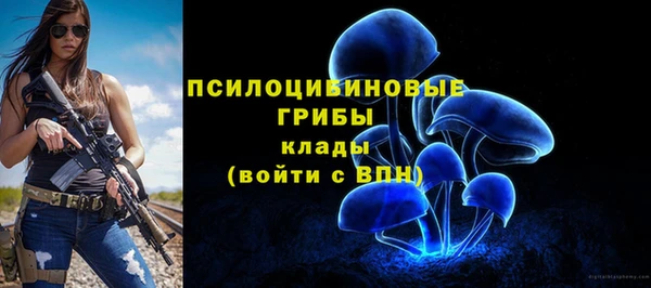 трава Беломорск
