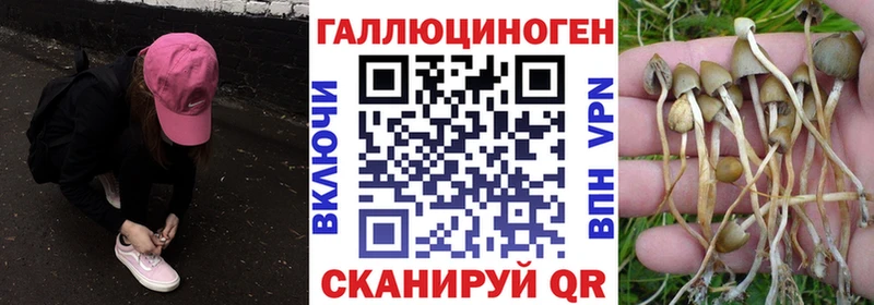 продажа наркотиков  mega рабочий сайт  Галлюциногенные грибы Cubensis  Красноуральск 